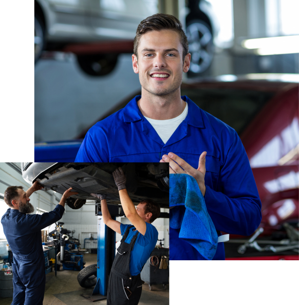 Domicilio de amortiguadores